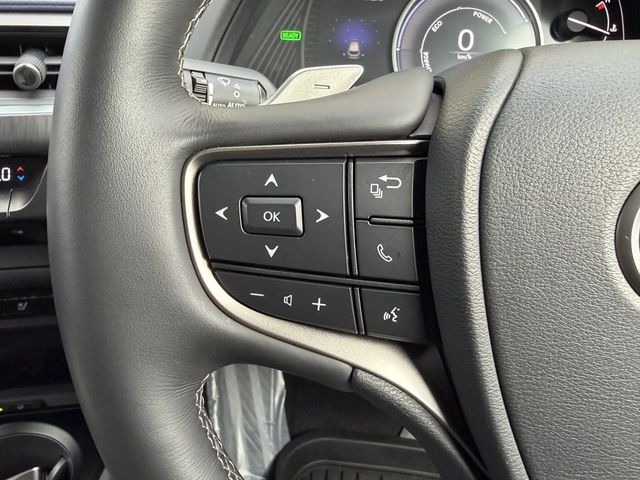 TOYOTA LEXUS UX250H 2022 Image 31