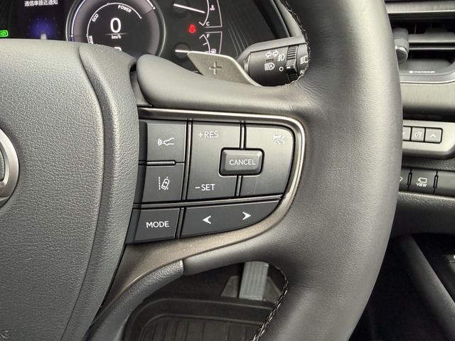 TOYOTA LEXUS UX250H 2022 Image 31