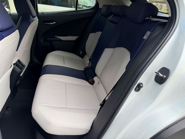 TOYOTA LEXUS UX250H 2022 Image 31