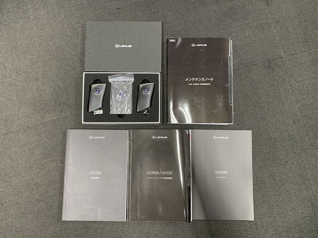 TOYOTA LEXUS UX250H 2022 Image 31