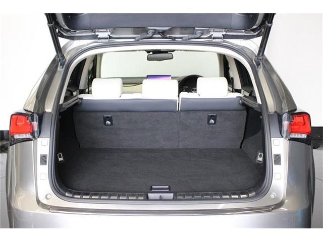 TOYOTA LEXUS NX300H AWD 2018 Image 31