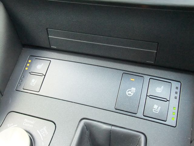 TOYOTA LEXUS RC300H 2021 Image 31