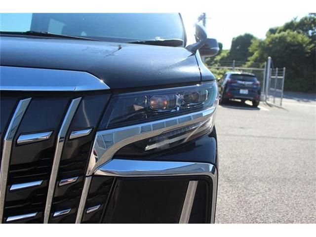 TOYOTA ALPHARD 2020 Image 31