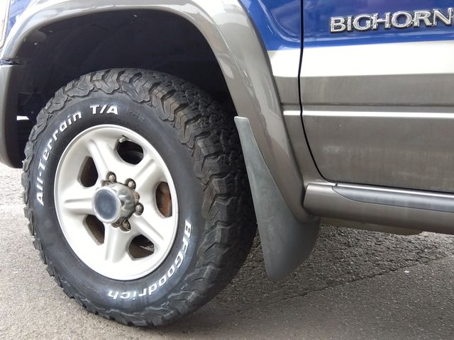 ISUZU BIGHORN WAGON 1998 Image 31