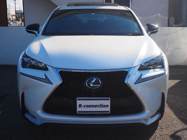 TOYOTA LEXUS NX300H 2015 Image 31