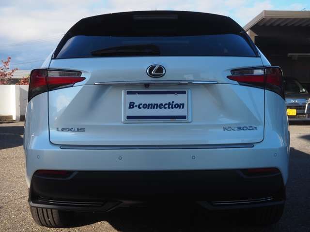 TOYOTA LEXUS NX300H 2015 Image 31