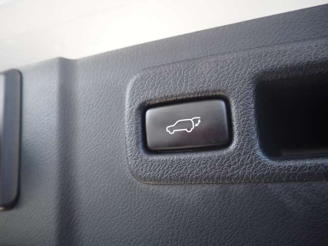 TOYOTA LEXUS NX300H 2015 Image 31