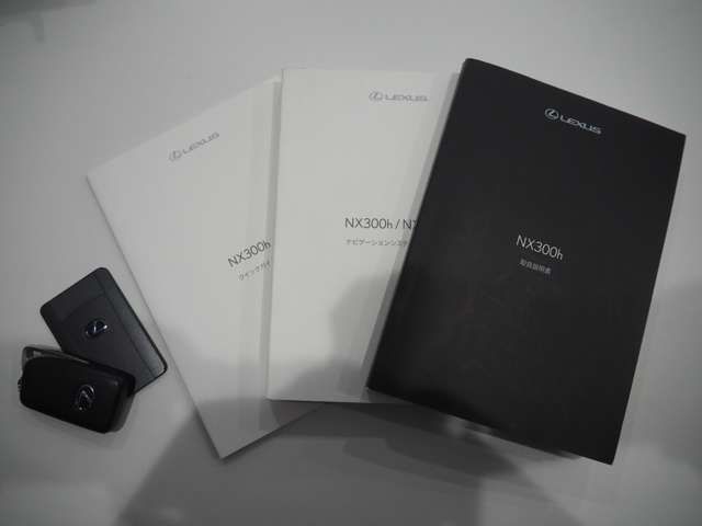 TOYOTA LEXUS NX300H 2015 Image 31