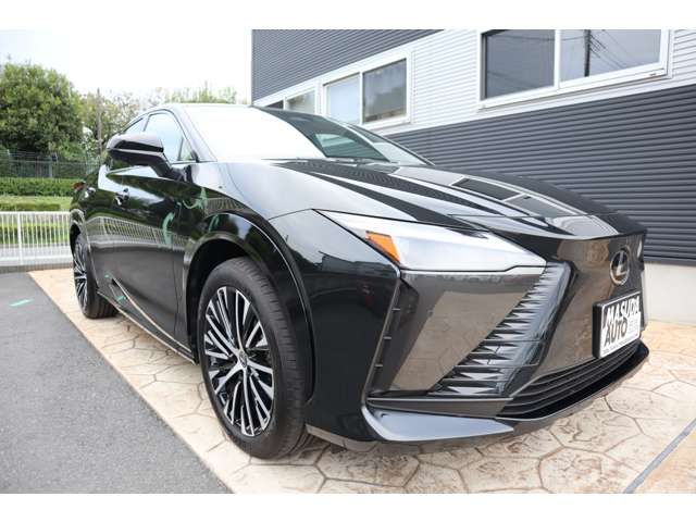 TOYOTA LEXUS RZ450E 2023 Image 31