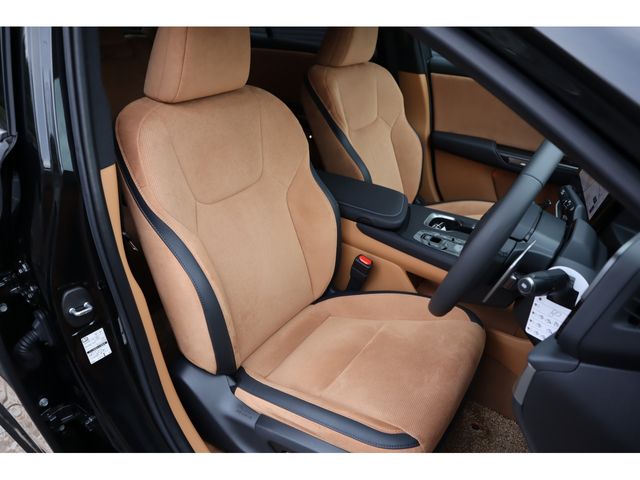 TOYOTA LEXUS RZ450E 2023 Image 31