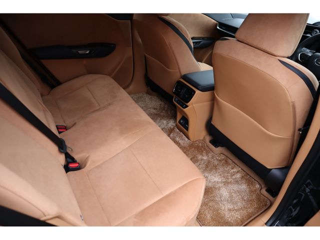 TOYOTA LEXUS RZ450E 2023 Image 31