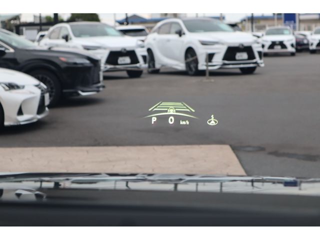 TOYOTA LEXUS RZ450E 2023 Image 31