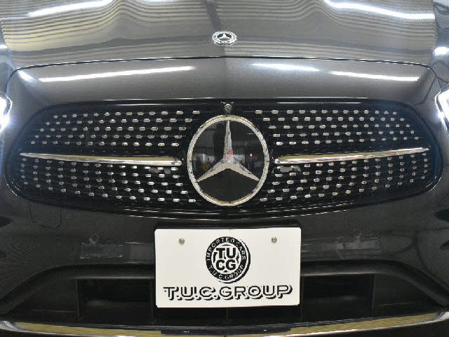 MERCEDES BENZ E CLAS 2020 Image 31