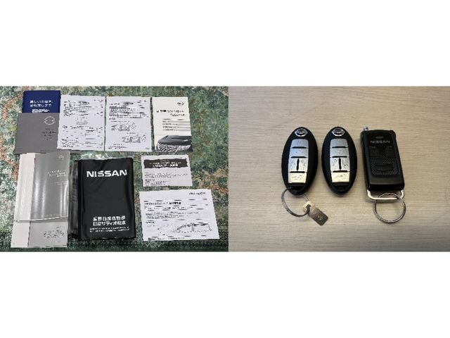 NISSAN ELGRAND  4WD 2021 Image 31