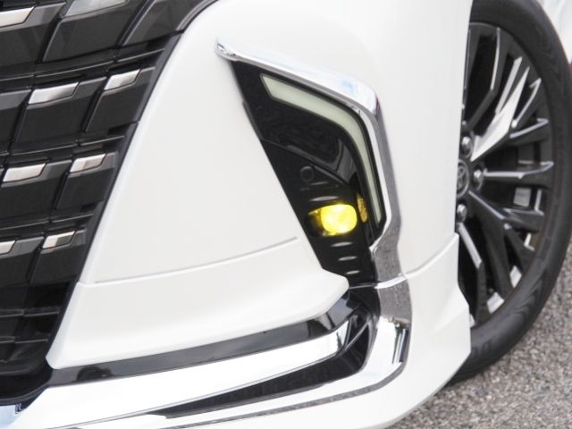 TOYOTA ALPHARD HYBRID 2023 Image 31