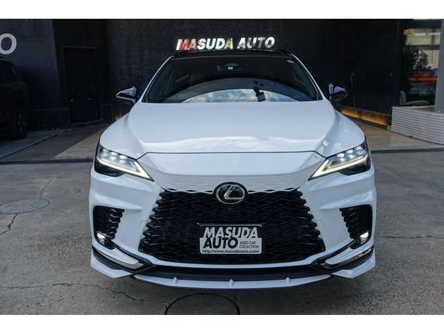 TOYOTA LEXUS RX500H 2023 Image 31