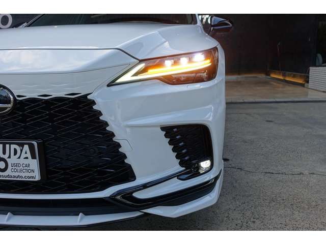 TOYOTA LEXUS RX500H 2023 Image 31