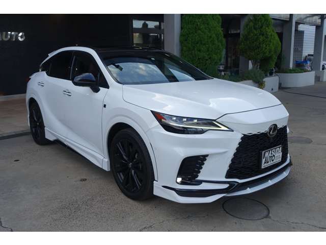 TOYOTA LEXUS RX500H 2023 Image 31