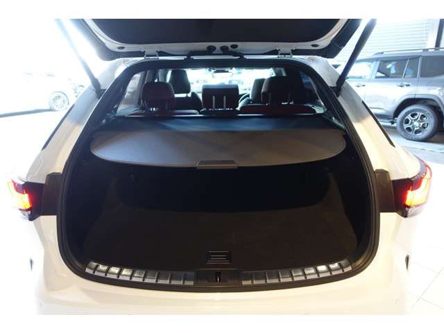 TOYOTA LEXUS RX500H 2023 Image 31