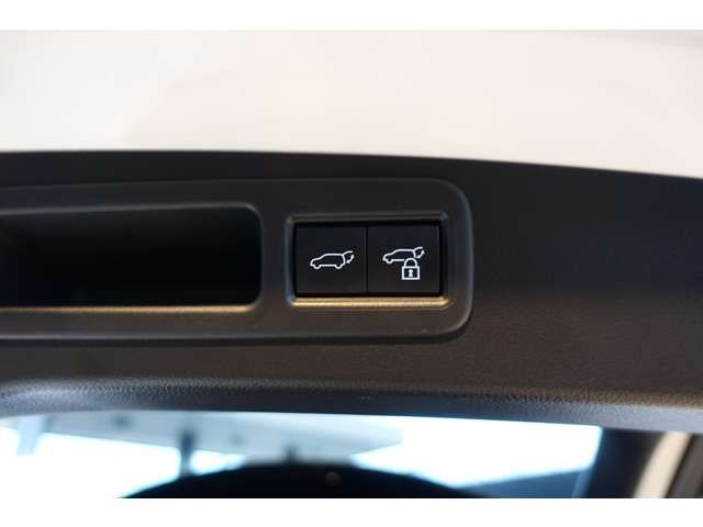 TOYOTA LEXUS RX500H 2023 Image 31