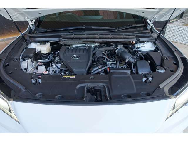 TOYOTA LEXUS RX500H 2023 Image 31