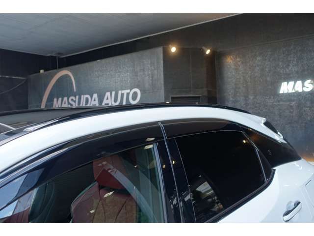 TOYOTA LEXUS RX500H 2023 Image 31