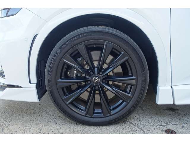 TOYOTA LEXUS RX500H 2023 Image 31