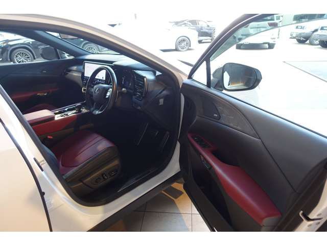 TOYOTA LEXUS RX500H 2023 Image 31