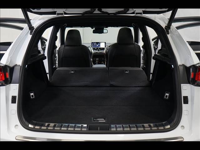 TOYOTA LEXUS NX300 2017 Image 31