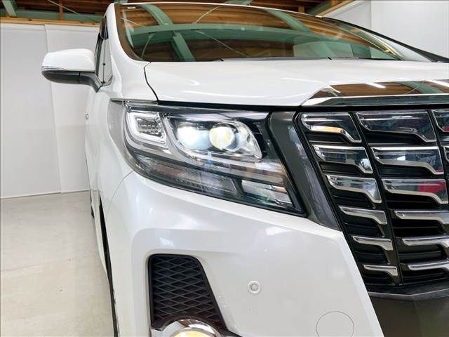 TOYOTA ALPHARD 2016 Image 31