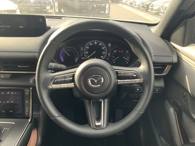 MAZDA MX-30 ROTARY-EV 2023 Image 31