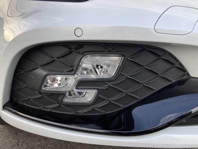 RENAULT MEGANE HATCH 2024 Image 31