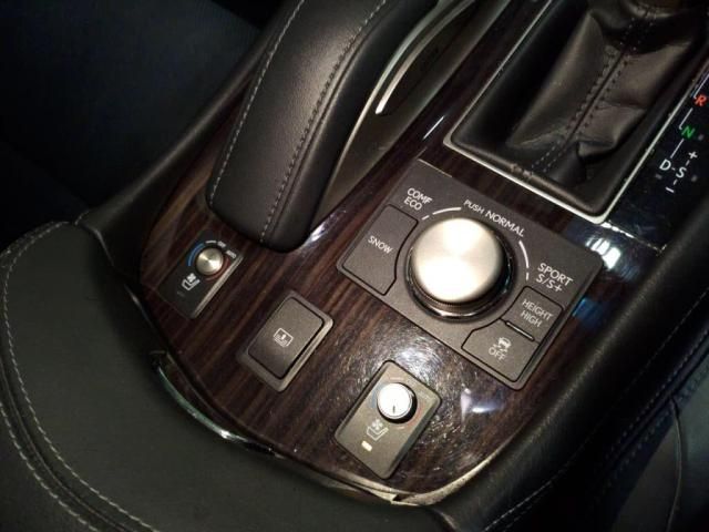 TOYOTA LEXUS LS460 2016 Image 31