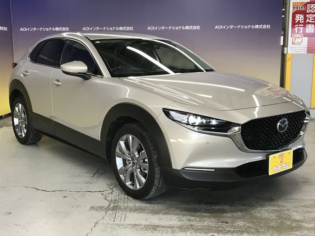 MAZDA CX-30 2023 Image 31