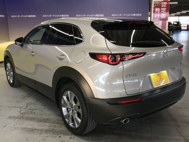 MAZDA CX-30 2023 Image 31