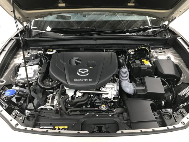 MAZDA CX-30 2023 Image 31