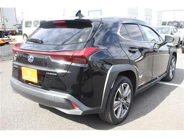 TOYOTA LEXUS UX300E 2022 Image 31