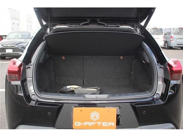 TOYOTA LEXUS UX300E 2022 Image 31