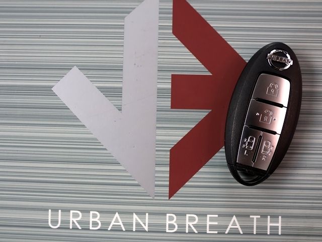 NISSAN ELGRAND 2017 Image 31