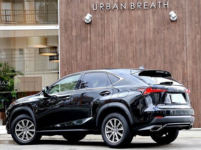 TOYOTA LEXUS NX300 2018 Image 31