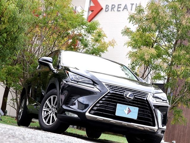 TOYOTA LEXUS NX300 2018 Image 31