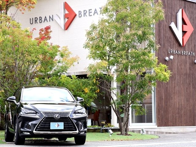 TOYOTA LEXUS NX300 2018 Image 31