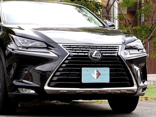 TOYOTA LEXUS NX300 2018 Image 31