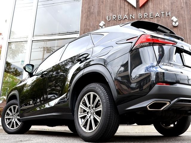 TOYOTA LEXUS NX300 2018 Image 31