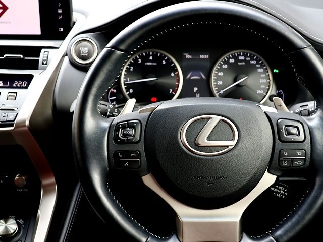 TOYOTA LEXUS NX300 2018 Image 31