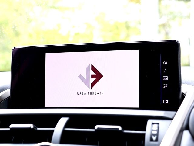 TOYOTA LEXUS NX300 2018 Image 31