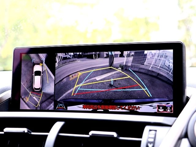 TOYOTA LEXUS NX300 2018 Image 31