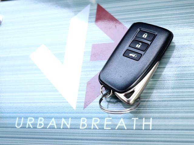 TOYOTA LEXUS NX300 2018 Image 31