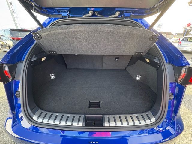 TOYOTA LEXUS NX300 2019 Image 31