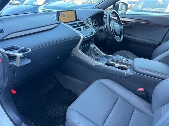 TOYOTA LEXUS NX300H 2020 Image 31